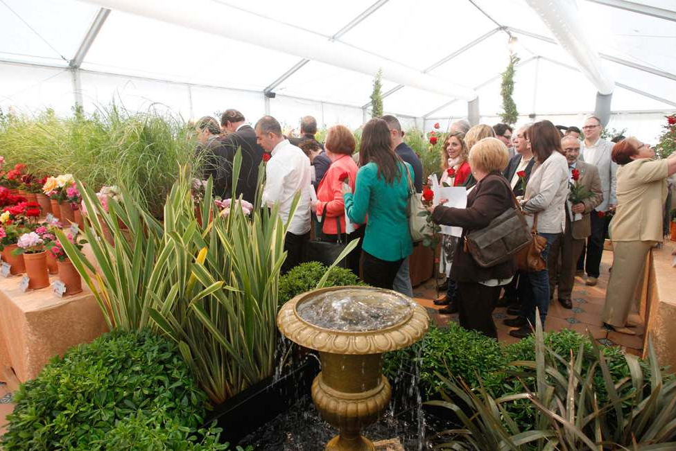 Festa de la Rosa St Feliu (6)