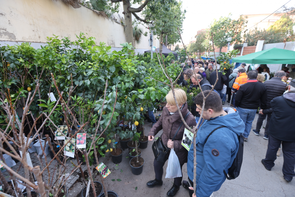 ESPAI LLIURE PLANTER, JARDINERIA I MAQUINARIA AGRÍCOLA (CODI 390)
